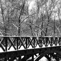 Мосты опустели зимой