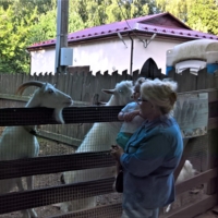 Разговор с козами