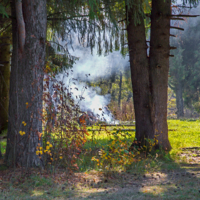Дым костра...
