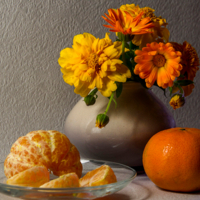 Любимый цвет...