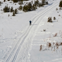Никто не мешает...))