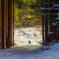 Секунды до падения...