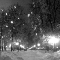 Зимний парк