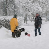 На узкой тропинке