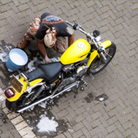 Купание желтого коня