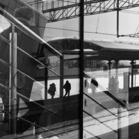 В своём мире