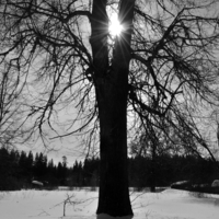 Скоро весна