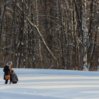 Прогулка