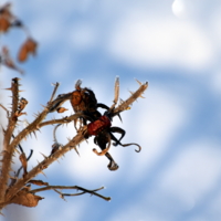 совсем немного тени