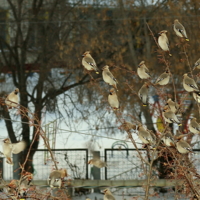 И здесь всё подъели...