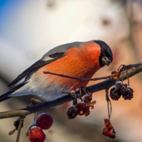 Красноречивый взгляд