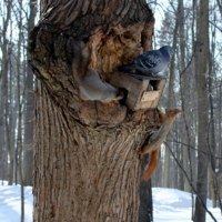 Хозяин положения