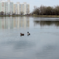 Москва бывает разная...