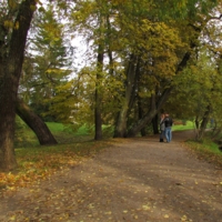 Подсмотренная любовь