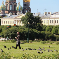 предводитель ворон