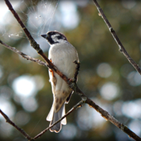 Не спугните!!!