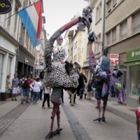 Карнавал в Люксембурге.