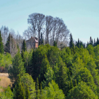 На краю обрыва...