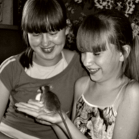 13, 11 и 1 месяц