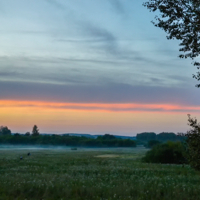 Вечерний туман стелется...