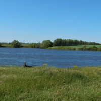 Цивилизация вдали от цивилизации
