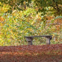 Осенняя скамейка