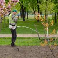 Современный Цезарь