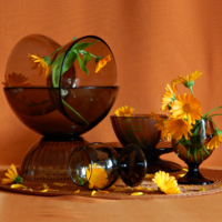 Оранжевое настроение