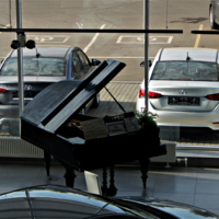 Черный  и   Белый