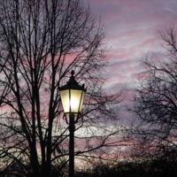 Вечерний свет