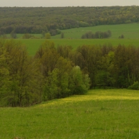 Разная зелень