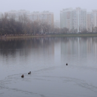 Нелётная погода, осенние туманы...