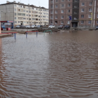 Штормит на нашем водоёме.