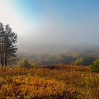 Утренний туман