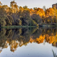 Золотая осень