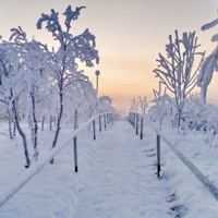 Дорога в зимний туман