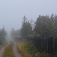 дорога в туман