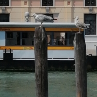 венеция 11