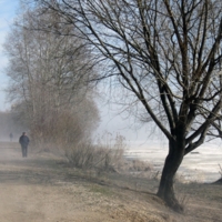 Прогулки в  весеннем тумане