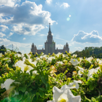Москва в цветах