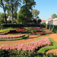 геометрия цветов