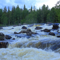 Водный праздник