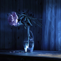 Ночь в июне только шесть часов