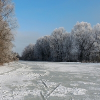 Панорама зимы