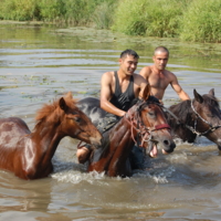 купание коней