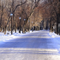 Фонари в парке