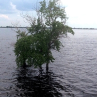 когда же спадет вода...