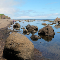 Ну что тебе сказать про Сахалин