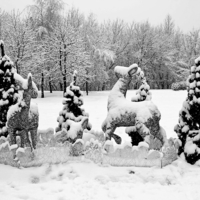 Зима до кончиков ушей