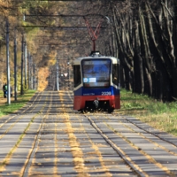 поездка в осень